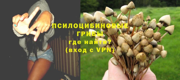 ECSTASY Дмитров