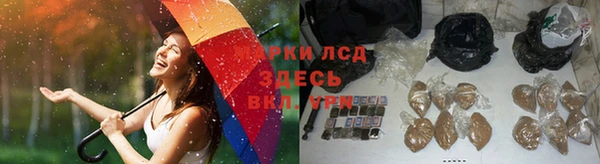 ECSTASY Дмитров