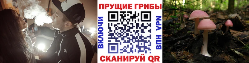 Галлюциногенные грибы ЛСД сайты даркнета состав Мензелинск